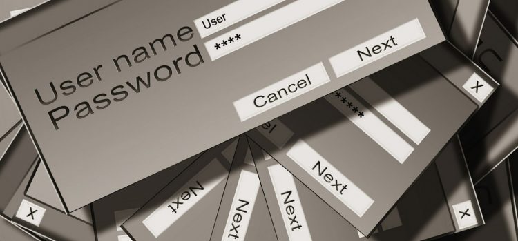 Voici les mots de passe qui ont fait tomber le Web